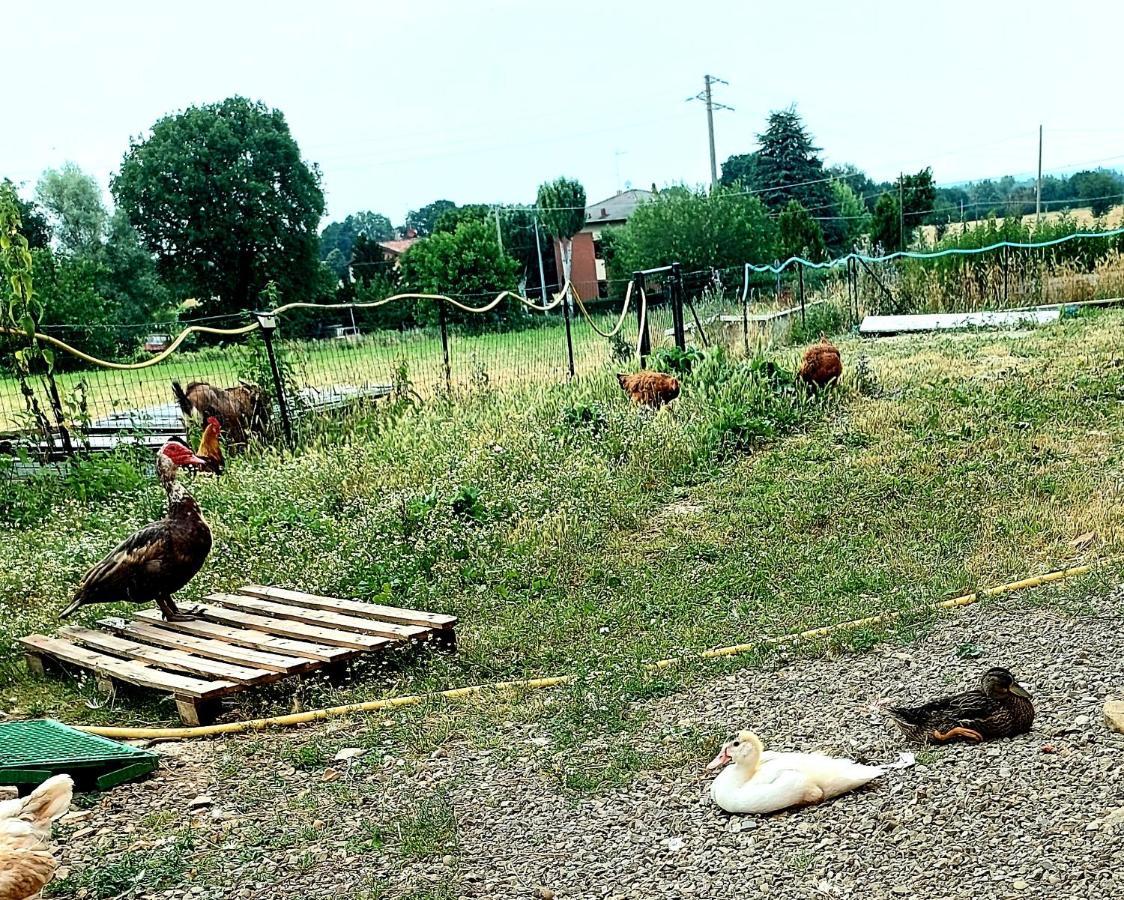 Agriturismo Azienda Agricola Ferrari M.Rita Pozza Eksteriør billede